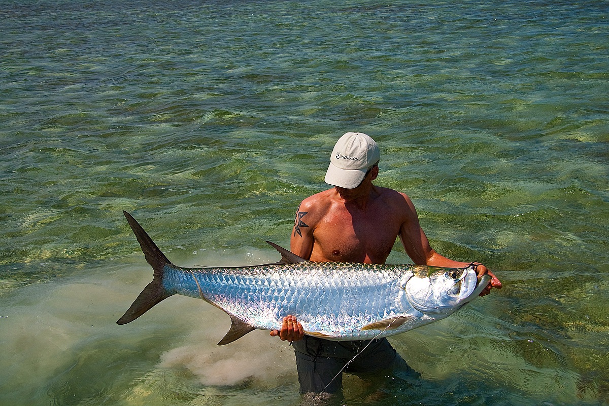 Куля рыба. Куба рыбалка Барракуда. Барракуда рыба на Кубе. Иссык-Кульская рыбка. Куба рыбалка Варадеро.